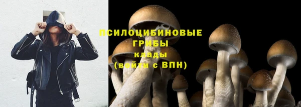 круглые Арсеньев