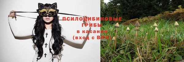 герыч Сафоново